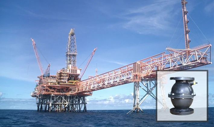 PP Chemical and Petroleum Industry