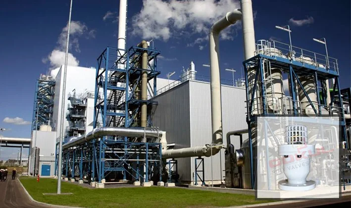 PP Gas and Solvent Plant