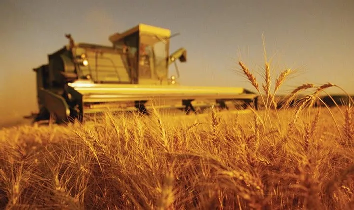 Agricultural Industries